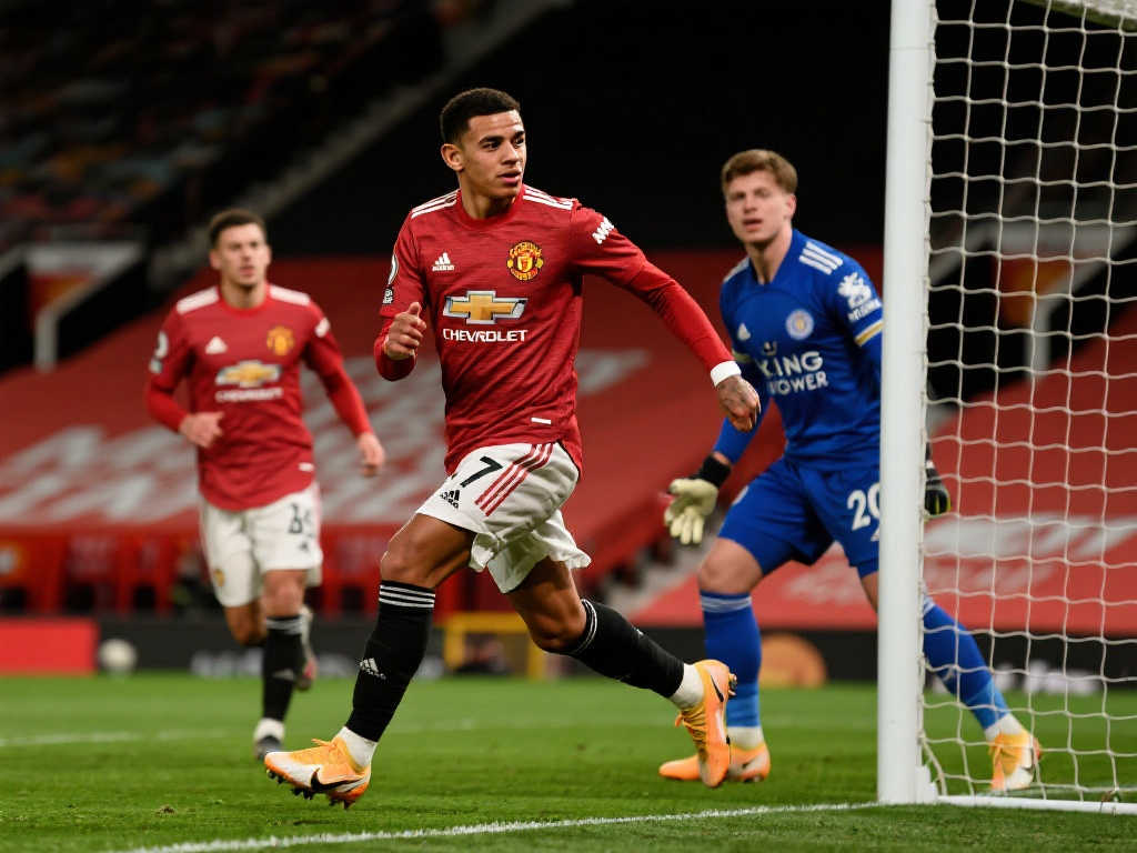 球队内部的 球队内部的